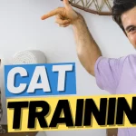 train your cat