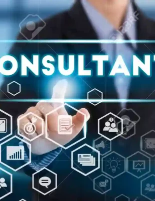 business consultants