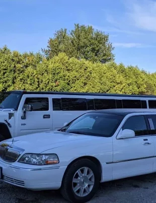 Limo Service