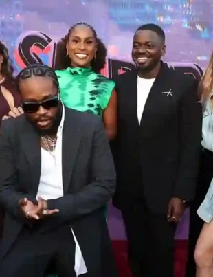 Across the Spider Verse Cast